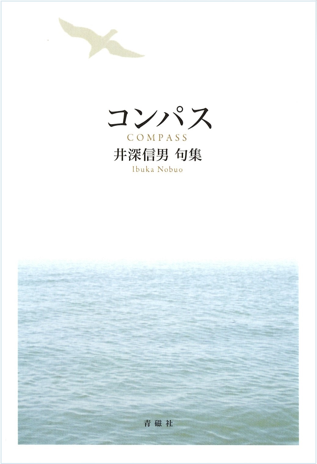 井深信男　コンパス