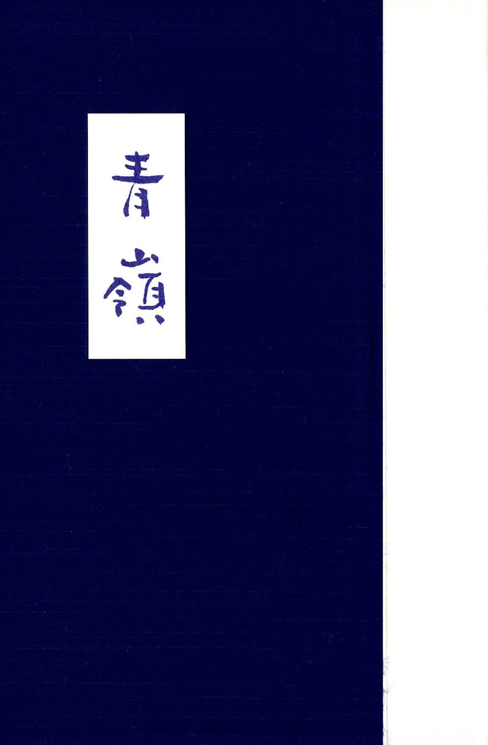 内海良太　青嶺