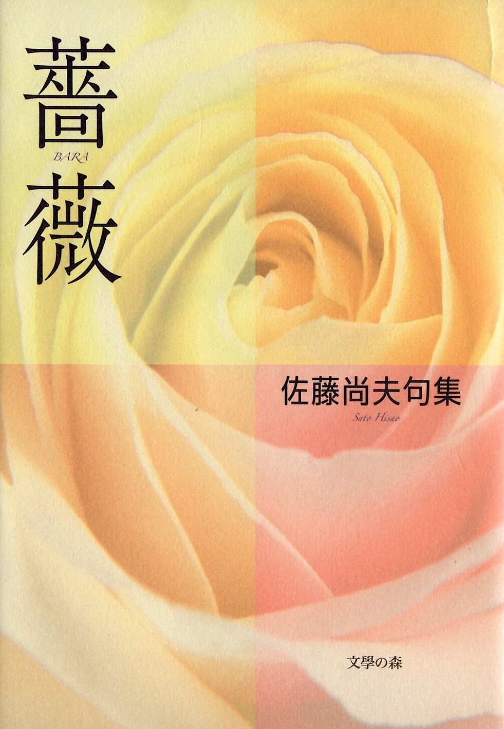 佐藤尚夫　薔薇