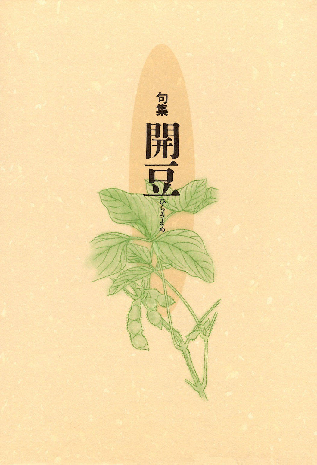 滝沢伊代次　開豆